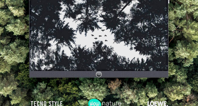 La foresta di Tecno Style & Loewe